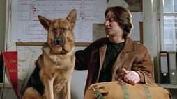 6. epizóda - Diagnóza vražda