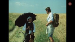 Slunce, seno, jahody