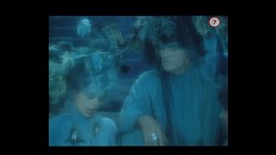 Malá mořská víla