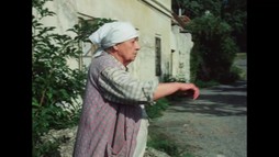 Slunce, seno, jahody