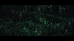 Ella a čierny jaguár