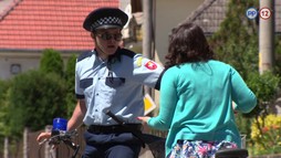 4. epizóda - Domobrana