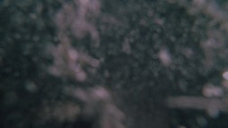 Saw: Hra o prežitie 5