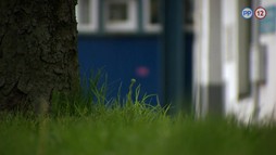 19. epizóda - Sloboda