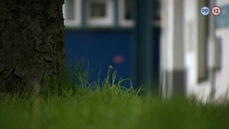 19. epizóda - Sloboda