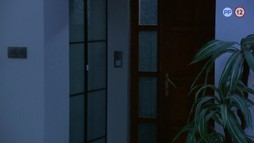 37. epizóda - Dokonalá rodina