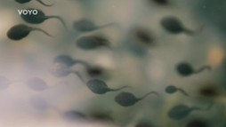 1. epizóda - Túžba