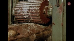 Na pytlácké stezce