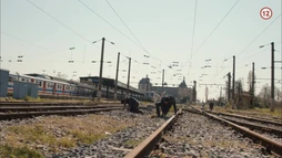 113. epizóda