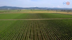 32. epizóda