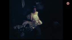 Tisícročná včela 1/2