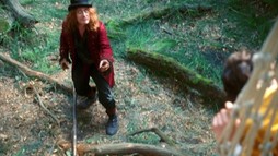 Rozprávky bratov Grimmovcov: Princ v medvedej koži