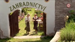 Jak se krotí krokodýli