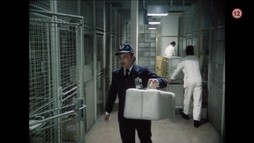 Zítra vstanu a opařím se čajem