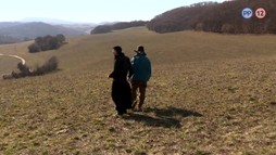 6. epizóda - Za dobrotu na žebrotu