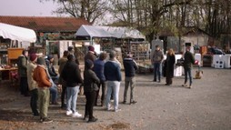 3. epizóda - Kamaráti