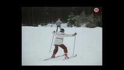 Sněženky a machři