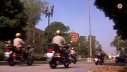 Láska na stráženie