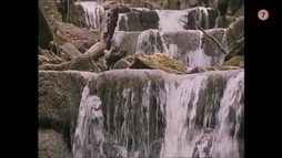 Veverka a kouzelná mušle