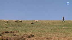 48. epizóda
