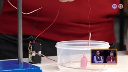 Dárius Koči a Janka Kovalčíková