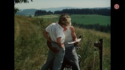 Slunce, seno a pár facek