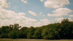 7. epizóda - Cesta do Black Bayou 1. časť