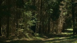 Kráľ Šumavy - trailer