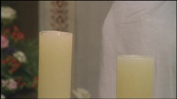 O Šípkovej Ruženke