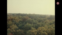 Slavnosti sněženek