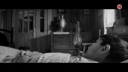 Pomaľované vtáča