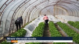 Správy o 12:00 hod | 9. 4. 2026