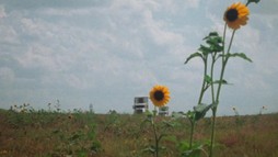 2. epizóda - Označkovaní