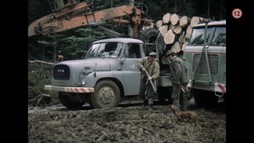 Pod Jezevčí skálou