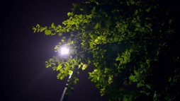 2. epizóda - Lorraine Benson