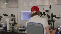 4. epizóda - Nesmrteľnosť