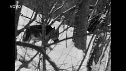 1. epizóda - Z obvodu na vraždy