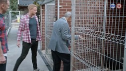 12. epizóda - Bastard