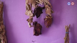 7. epizóda - Lucka a Alena