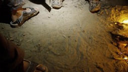 Trabantem do posledního dechu