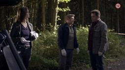 15. epizóda - Kariéra