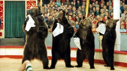 Šesť medveďov s Cibulkom