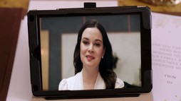 Princezná a profesor