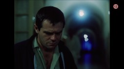 Dobří holubi se vracejí