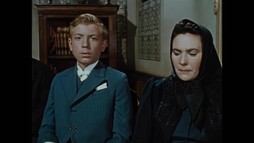 Dáždnik svätého Petra