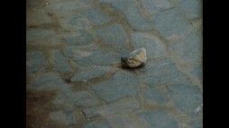 1. epizóda - Modrý kameň