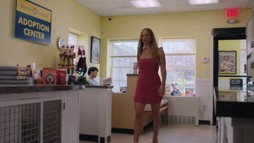 Nič v zlom - trailer