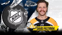 4. epizóda - David Pastrňák