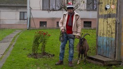 11. epizóda - Bohéma