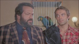 Ak sa nahneváme, budeme zlí - trailer